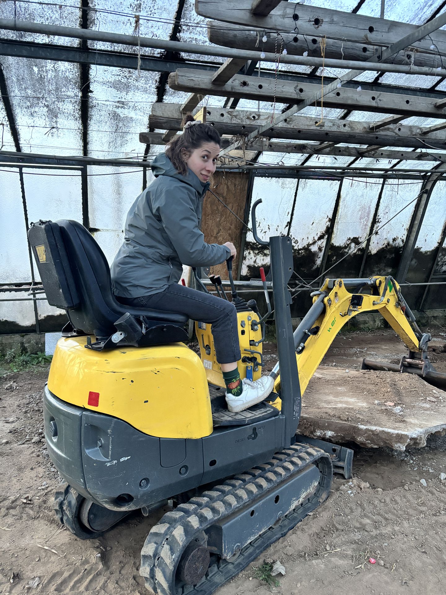 Bagger fahren im Gewächshaus