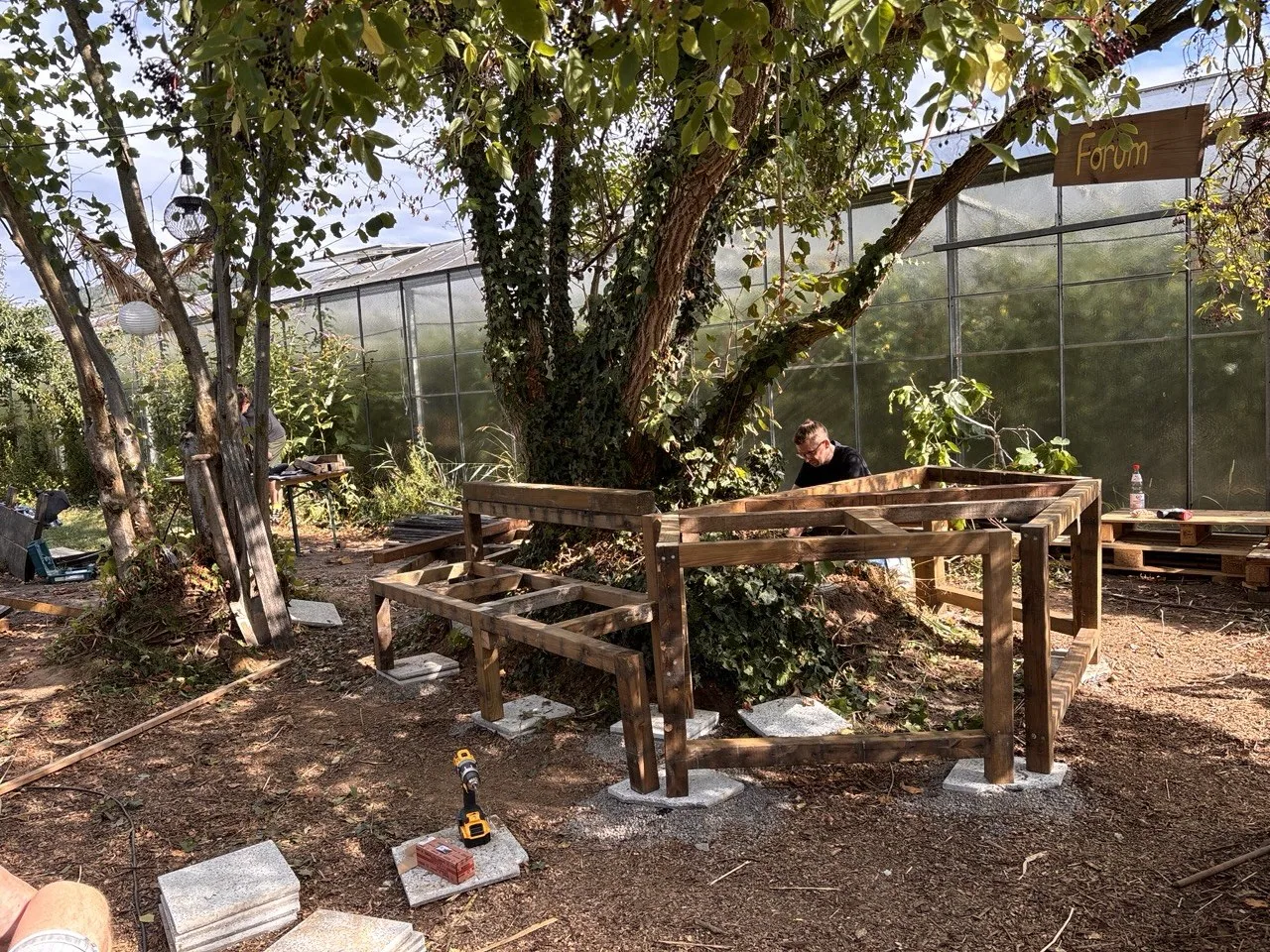 Unterkonstruktion aus Kantholz auf Betonplatten, um den Stamm des Holunderbaums gebaut