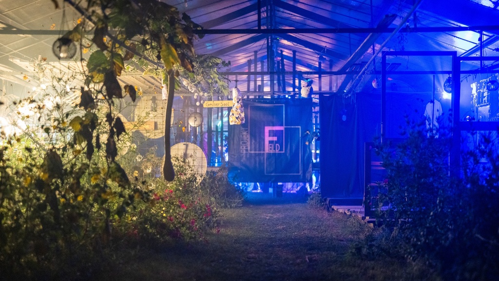 Blaues Licht über den Beeten