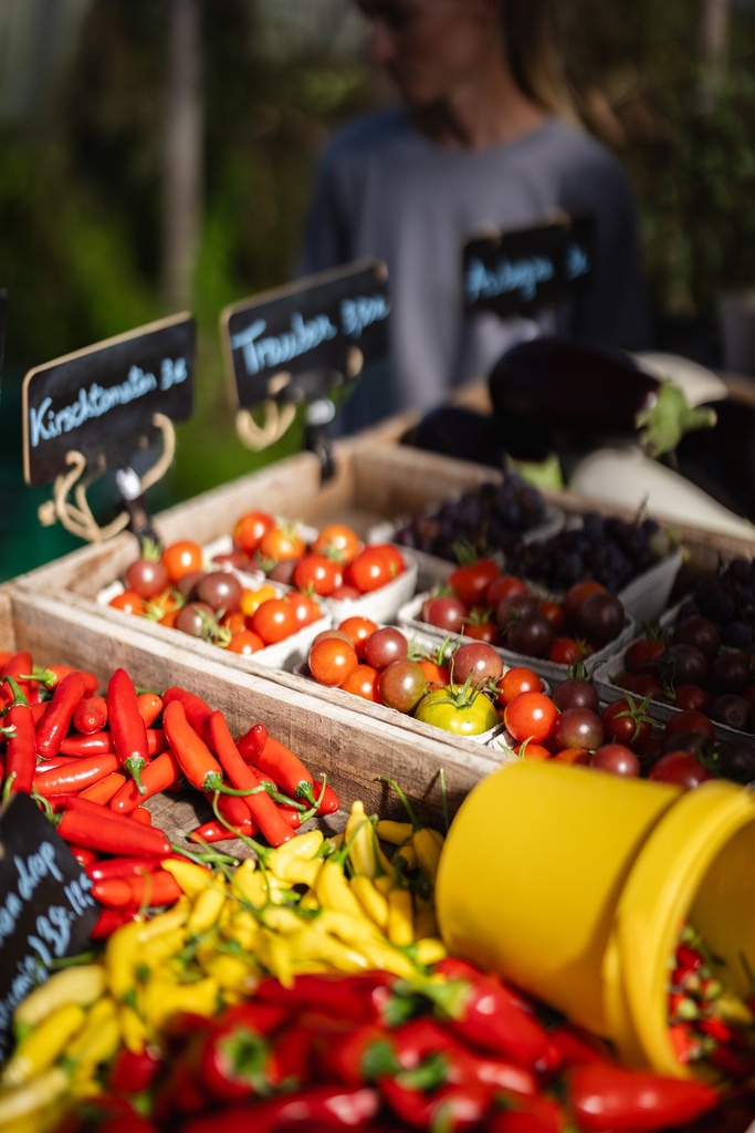 Paprika und Tomaten in der Kiste