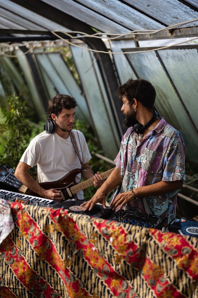 Vinyl und Gitarre im Gewächshaus