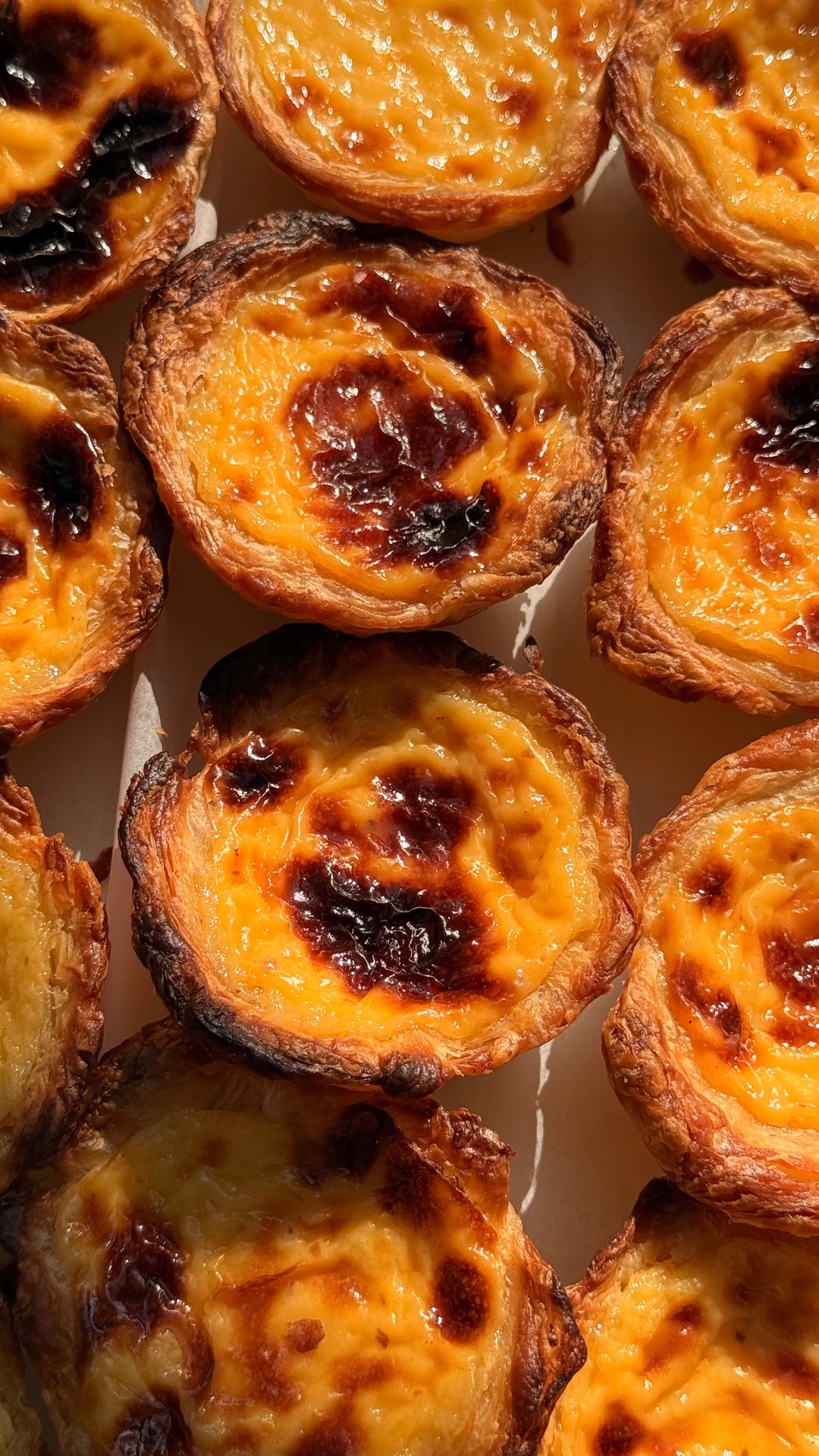 Pastéis de Nata aus der Backstube