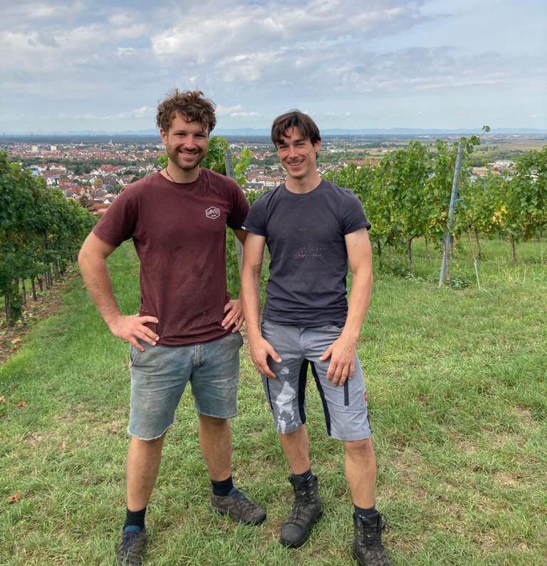 Andreas Bauer und Lukas Herrmann im Weinberg