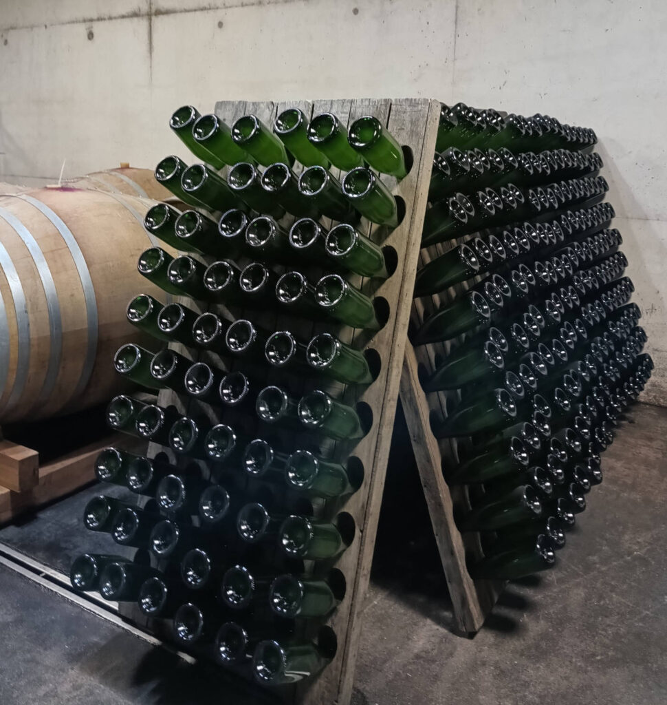 Flaschen auf dem Rüttelpult