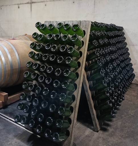 Flaschen auf dem Rüttelpult